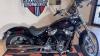 2023 Harley-Davidson Softail® Standard