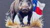 Got a wild hog problem? Call Texas Feral Hog Trappers
